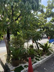 geylang-road photo thumbnail #8